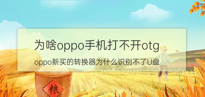 为啥oppo手机打不开otg oppo新买的转换器为什么识别不了U盘？